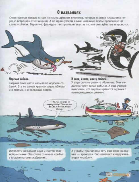 Акулы. О чем говорят животные. Секретная энциклопедия