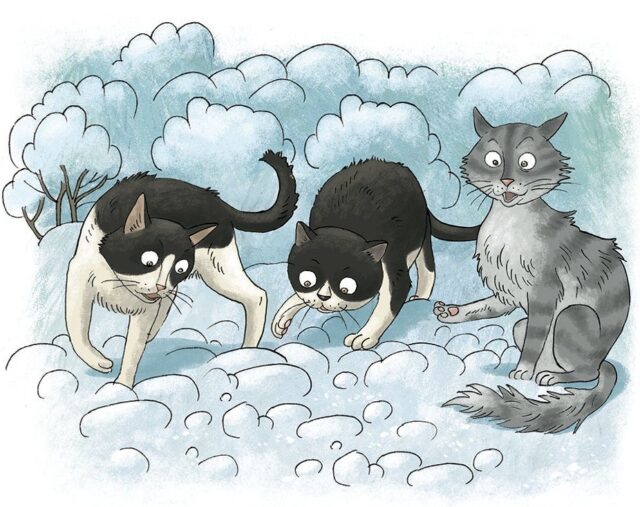 Кошки идут по снегу