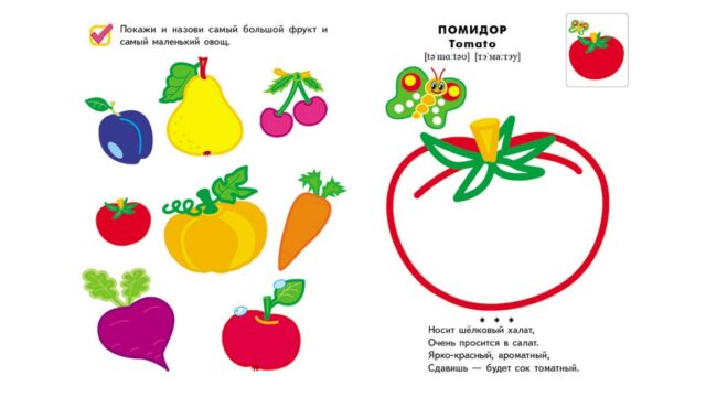 Овощи и фрукты (2+). Цветные контуры