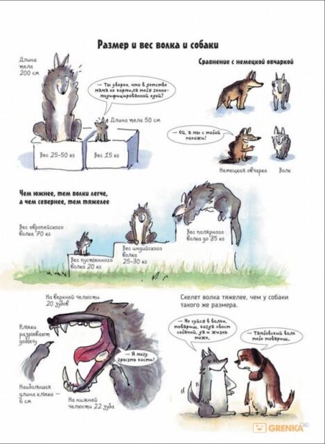 Волки. О чем говорят животные. Секретная энциклопедия