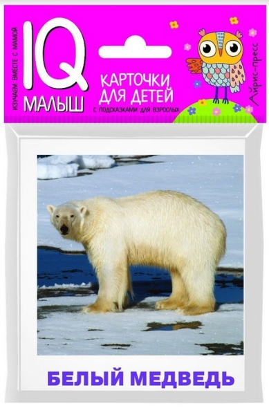 Животные полярных широт. Набор карточек для детей