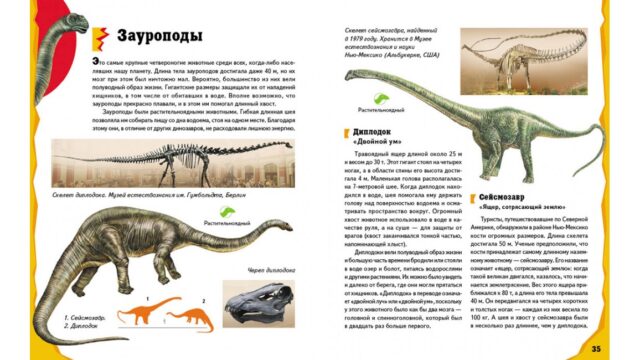 Динозавры. Энциклопедия Всезнайка
